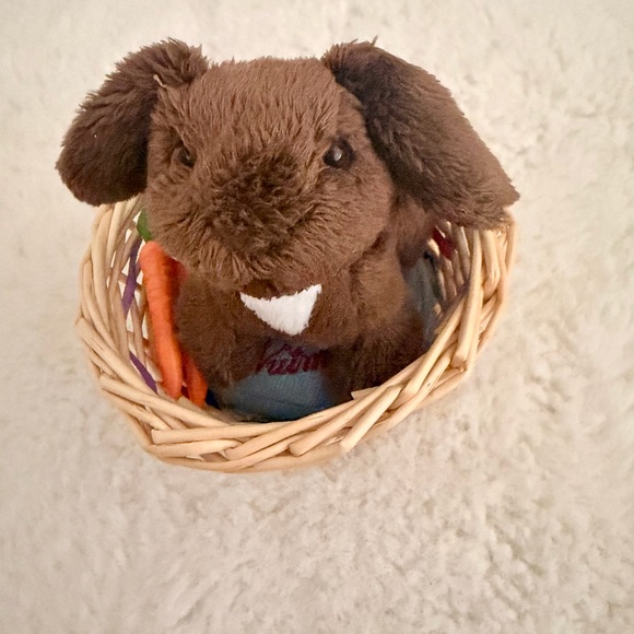 American Girl Other - American girl pet nutmeg